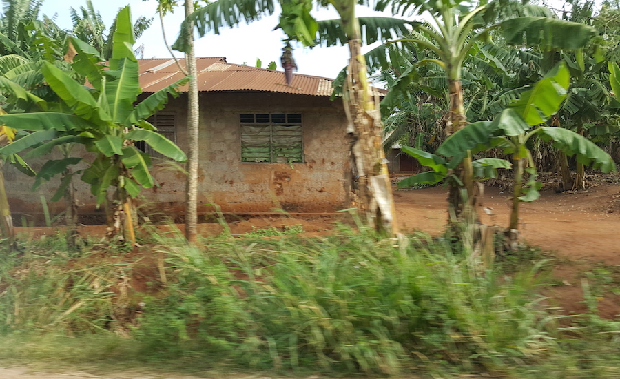 Tanzania Zanzibar hus