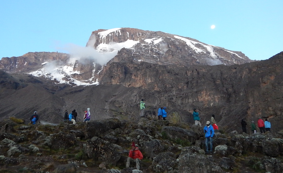 Tanzania Zanzibar safari rejse ngorongoro kilimanjaro glimt af toppen