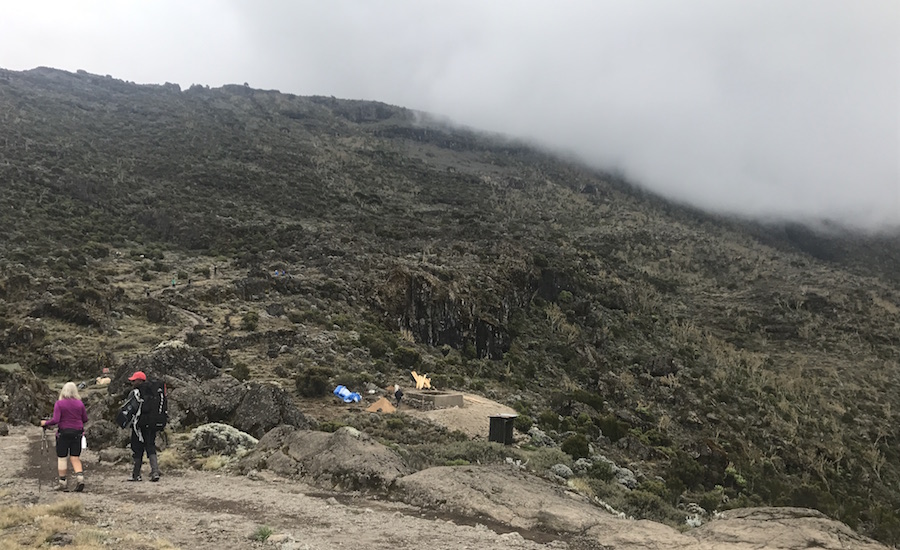 Tanzania Zanzibar safari rejse ngorongoro kilimanjaro opstigning