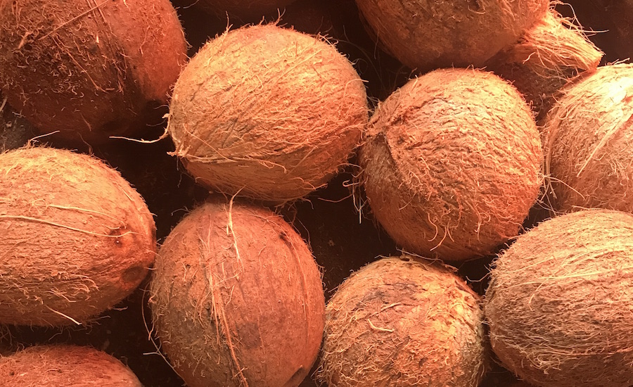 Tanzania Zanzibar udflugter på Zanzibar kokosnødder