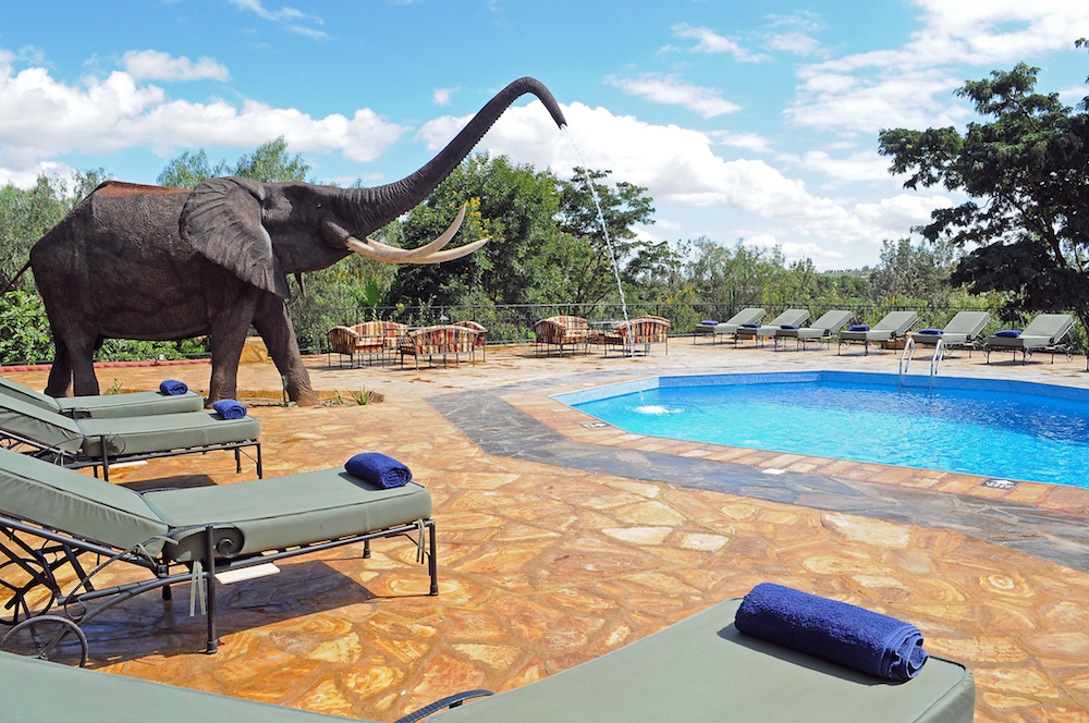 Tanzania safari Kudu Lodge pool view