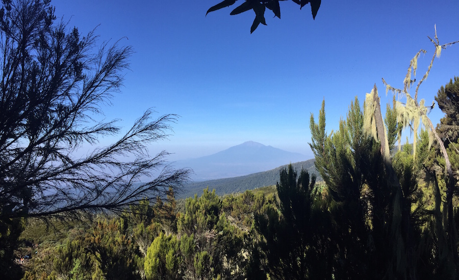 Tanzania Zanzibar safari rejse ngorongoro kilimanjaro natur