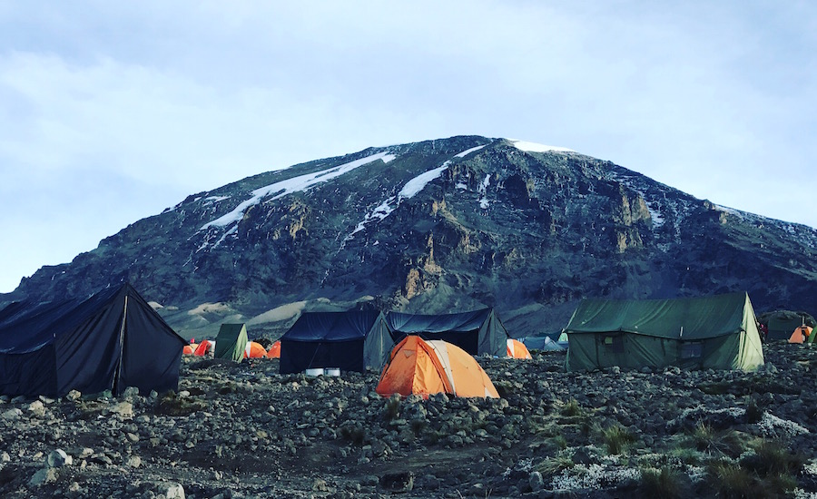 Tanzania Zanzibar safari rejse ngorongoro kilimanjaro camp