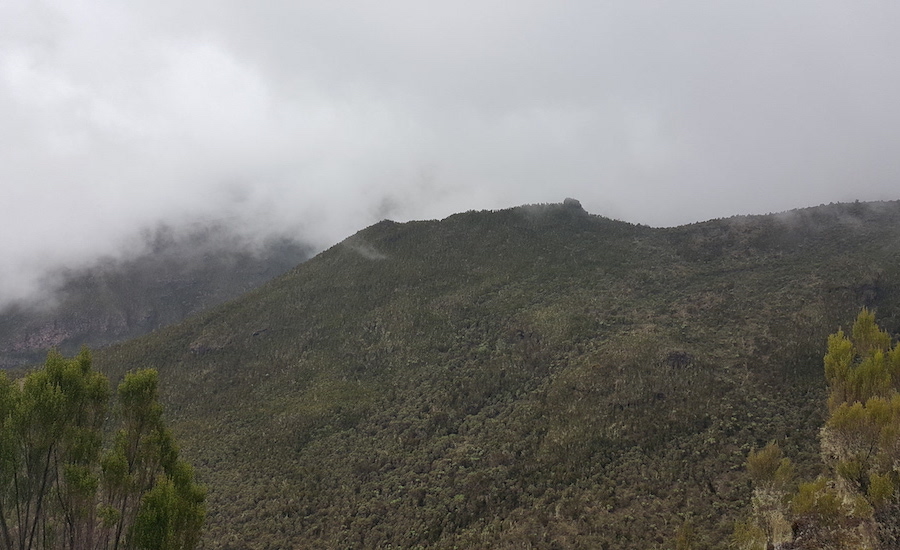 Tanzania Zanzibar safari rejse ngorongoro kilimanjaro udsigt