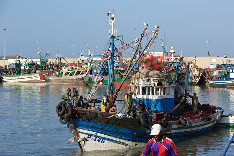 Fiskerbåd tilbage i havnen i Essaouira