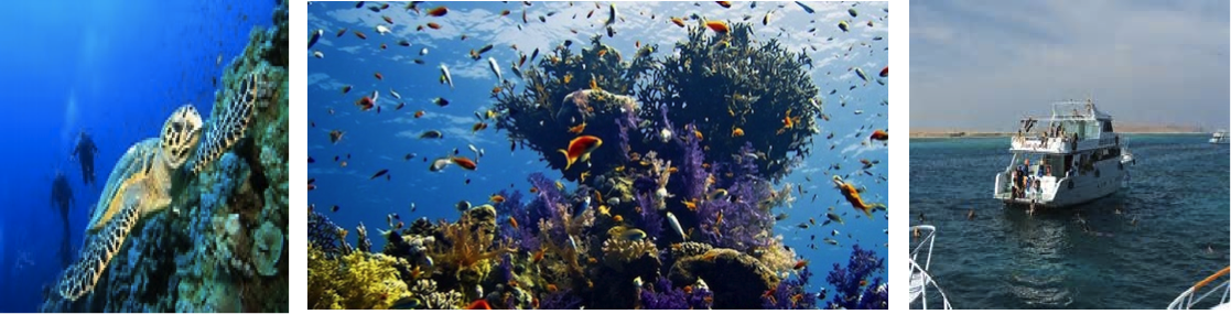 intro-diving-med-flasker-udflugt-fra-hurghada