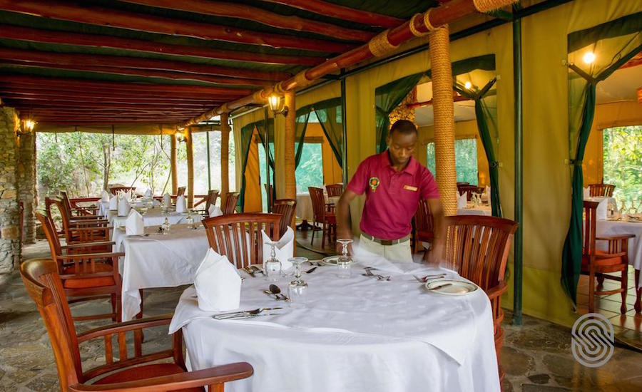 Zanzibar Tanzania Mbuzi Mewa forplejning