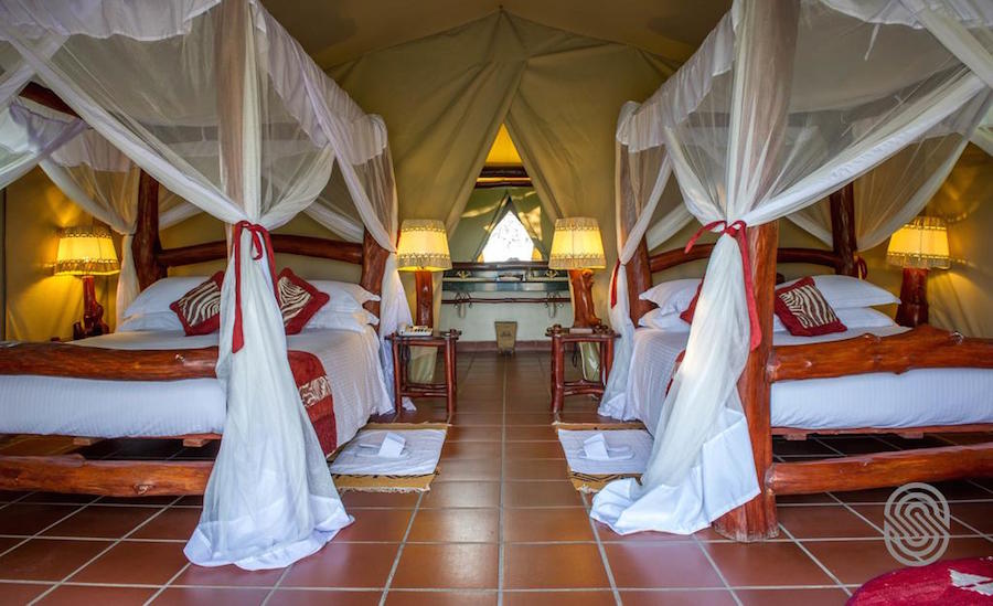 Zanzibar Tanzania Mbuzi room