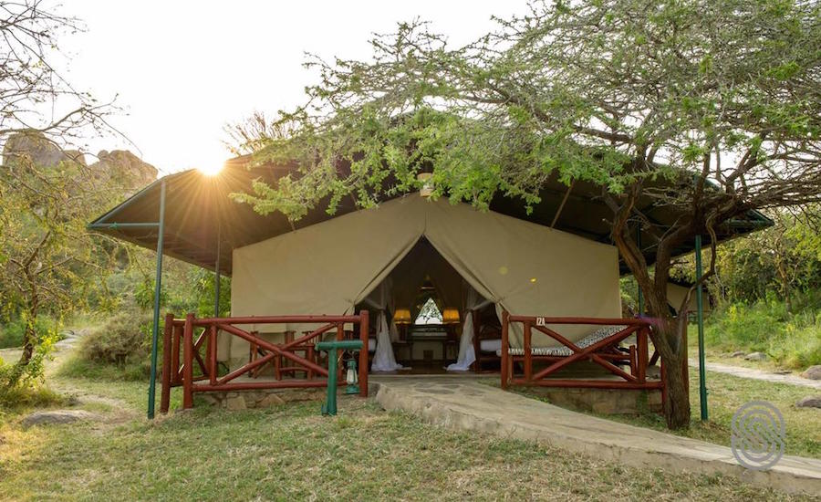 Zanzibar Tanzania Mbuzi Mawe telt