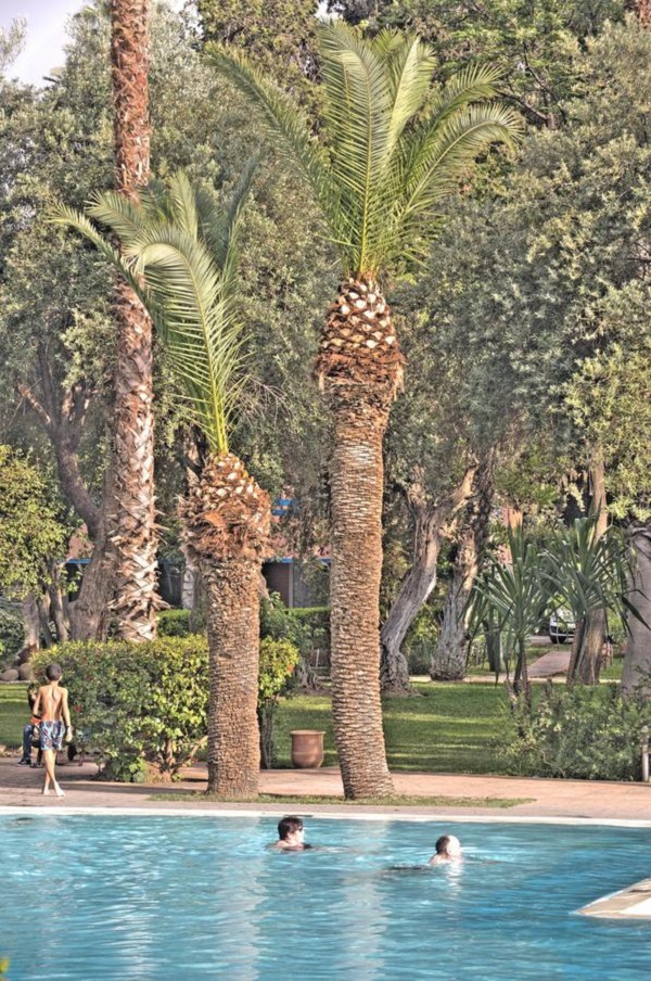 Hôtel Farah Marrakech pool view Hôtel Farah Marrakech pool view