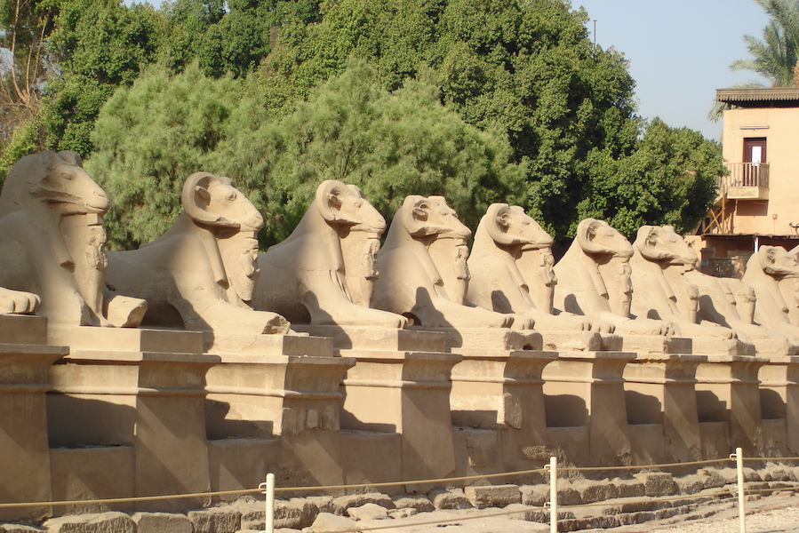 Sphinx alle - de nye og gamle faraoer - Younes rejser