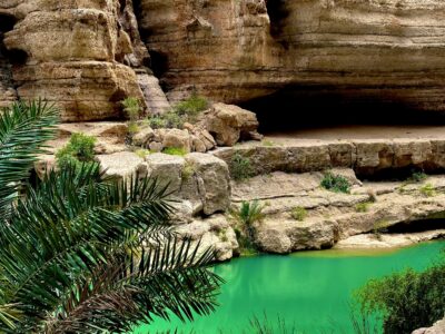 pexels-darrian-bryan-24827991-16126147