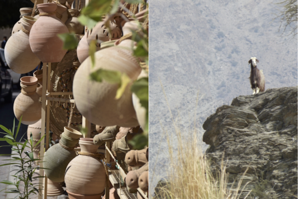 Oman goat and pottery - Younes Rejser